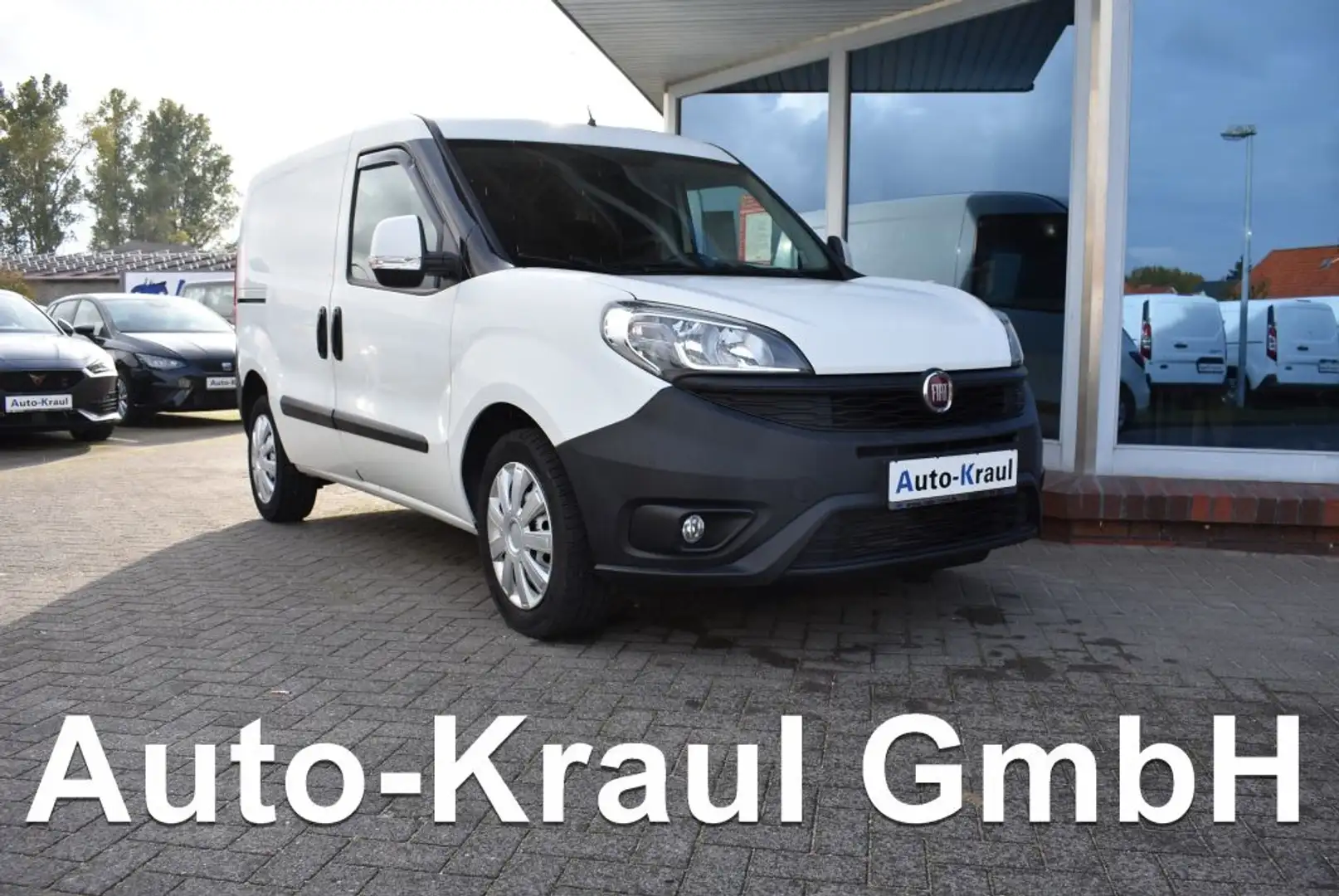 Fiat Doblo DPF SX Weiß - 1