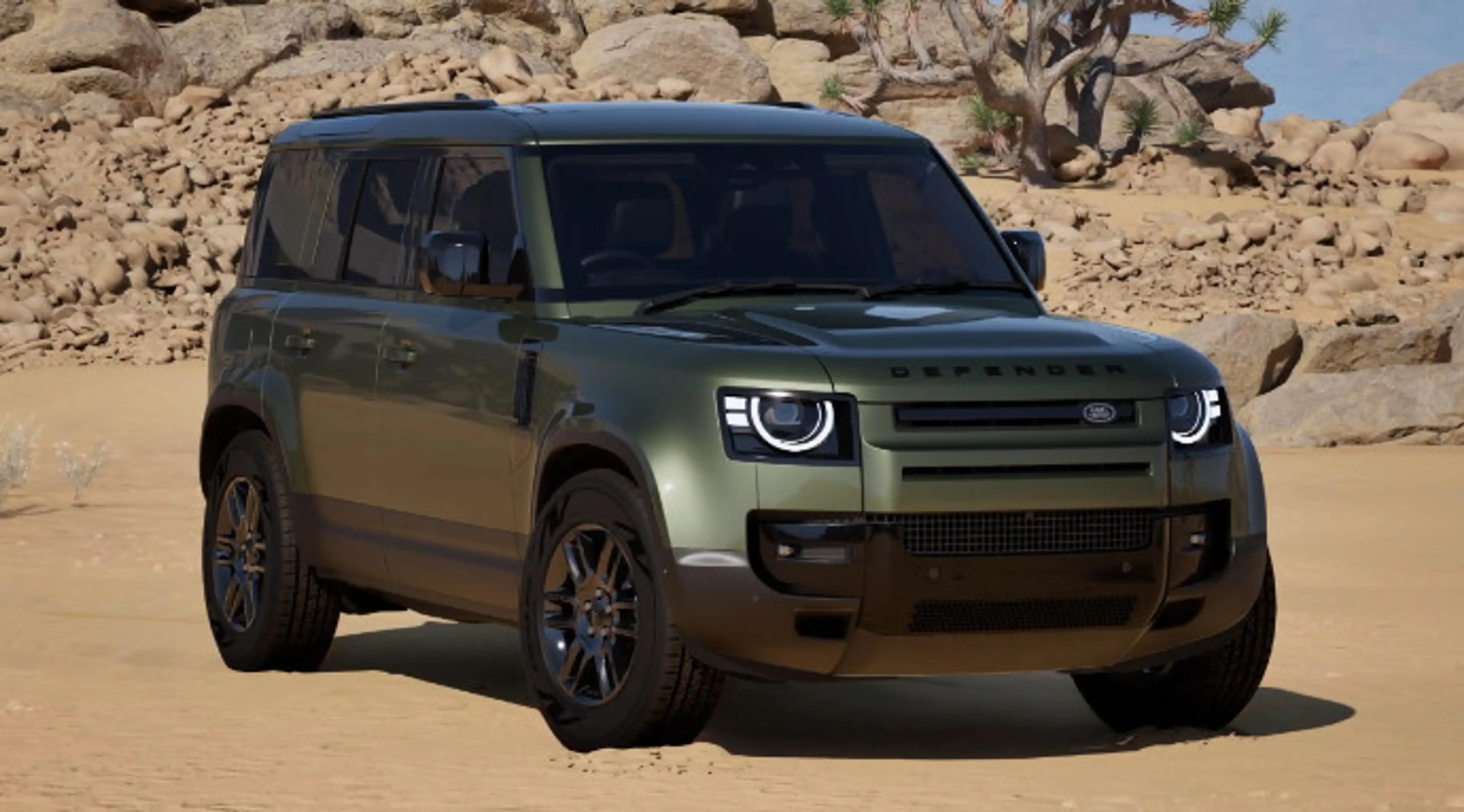 Land Rover Defender 110 D250 FOREST EDITION — photo 2
