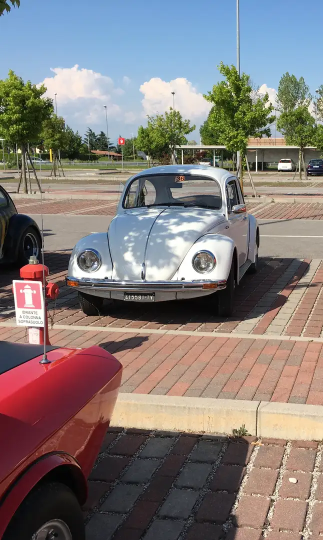 Volkswagen Maggiolino tutto originale - 1