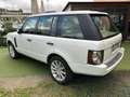 Land Rover Range Rover 4.4 TDV8 Vogue FULL OPTIONAL Blanc - thumbnail 4