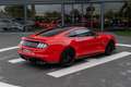 Ford Mustang Fastback 5.0 Ti-VCT Mach I Aut. Rojo - thumbnail 6