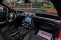 Ford Mustang Fastback 5.0 Ti-VCT Mach I Aut. Rojo - thumbnail 23