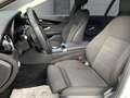 Mercedes-Benz C 180 T d AT Standard Business-Plus HP-LED PPA Kamera SH Blanco - thumbnail 8
