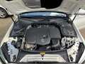 Mercedes-Benz C 180 T d AT Standard Business-Plus HP-LED PPA Kamera SH Blanco - thumbnail 14