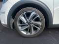 Kia Niro 1.6 GDi DCT HEV Energy Bianco - thumbnail 15