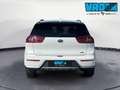 Kia Niro 1.6 GDi DCT HEV Energy Bianco - thumbnail 5