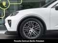 Porsche Macan BOSE Panorama Surround-View Luftfederung Weiß - thumbnail 10