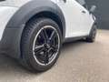 MINI Cooper S Countryman Mini 1.6 ALL4 Chili PANORAMA - STOELVERWAMING - HA White - thumbnail 6