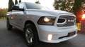 Dodge RAM -HEMI SPORT/5,7V8/ALLRAD/QUADCAB/AHK/MWST Weiß - thumbnail 3