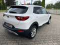 Kia Stonic 1.2 Edition 7 Weiß - thumbnail 4