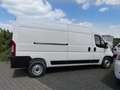 Fiat Ducato Maxi Grossr.-Kasten 35 140 L4H2 RS 4035 mm Multije Weiß - thumbnail 12