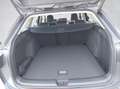 Volkswagen Golf Variant Business TDI Grau - thumbnail 15