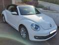 Volkswagen Beetle Beetle Cabriolet 1.2 TSI Blanc - thumbnail 6