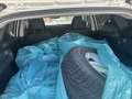 Nissan Qashqai 1,6 dCi Tekna Weiß - thumbnail 5