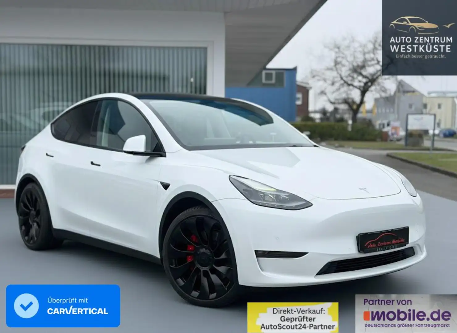 Tesla Model Y Tesla Model Y Performance Dual AWD 21Zoll MwSt. Blanc - 1