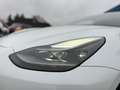 Tesla Model Y Tesla Model Y Performance Dual AWD 21Zoll MwSt. Blanc - thumbnail 5