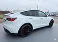 Tesla Model Y Tesla Model Y Performance Dual AWD 21Zoll MwSt. Blanc - thumbnail 14