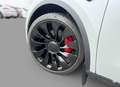 Tesla Model Y Tesla Model Y Performance Dual AWD 21Zoll MwSt. Blanc - thumbnail 8