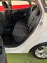 Ford Fiesta 5p 1.2 16v Titanium c/esp E5 - thumbnail 14