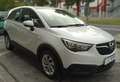Opel Crossland X Crossland X 1.6 ecotec Advance s Bianco - thumbnail 5