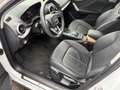 Audi Q2 40 TFSI quattro S line Aut/Leder/Navi Weiß - thumbnail 11