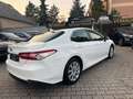 Toyota Camry Hybrid Business Edition*KAMERA*LED*LEDER* Weiß - thumbnail 5