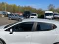 Renault Clio Dynamique Tempomat LED-Tagfahrlicht Bordcomputer Weiß - thumbnail 24