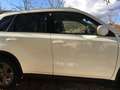 Suzuki Vitara Vitara II 2015 1.6 ddis V-Cool s Blanc - thumbnail 13