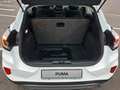 Ford Puma Titanium-Design 1,0l 125 PS #LMF #PPS #LED Blanc - thumbnail 6