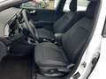 Ford Puma Titanium-Design 1,0l 125 PS #LMF #PPS #LED Blanc - thumbnail 8