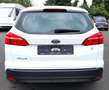 Ford Focus Turnier Cool & Connect Weiß - thumbnail 9