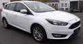 Ford Focus Turnier Cool & Connect Weiß - thumbnail 3