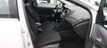 Ford Focus Turnier Cool & Connect Weiß - thumbnail 5