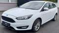 Ford Focus Turnier Cool & Connect Weiß - thumbnail 1