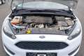 Ford Focus Turnier Cool & Connect Weiß - thumbnail 17