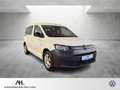 Volkswagen Caddy Maxi 2.0 TDI DSG Rollstuhlumbau Navi ACC RFK SHZ Weiß - thumbnail 7