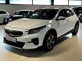 Kia XCeed Xceed 1,6 PHEV Plug-in Hybrid Vision AT Weiß - thumbnail 3