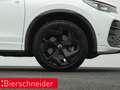 Volkswagen Tiguan 2.0 TDI DSG 4Mo. R-Line BLACK-STYLE AHK H&K ALU19 Weiß - thumbnail 25