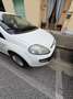 Fiat Punto Evo 5p 1.2 Active 65cv - thumbnail 5