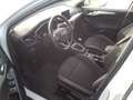 Ford Focus 1.5Ecoblue Trend+ 120 Blanco - thumbnail 12