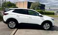 Opel Grandland X Edition 1.5D 130CV BVA8 12500HT ENTRETIEN COMPLET  Blanc - thumbnail 5