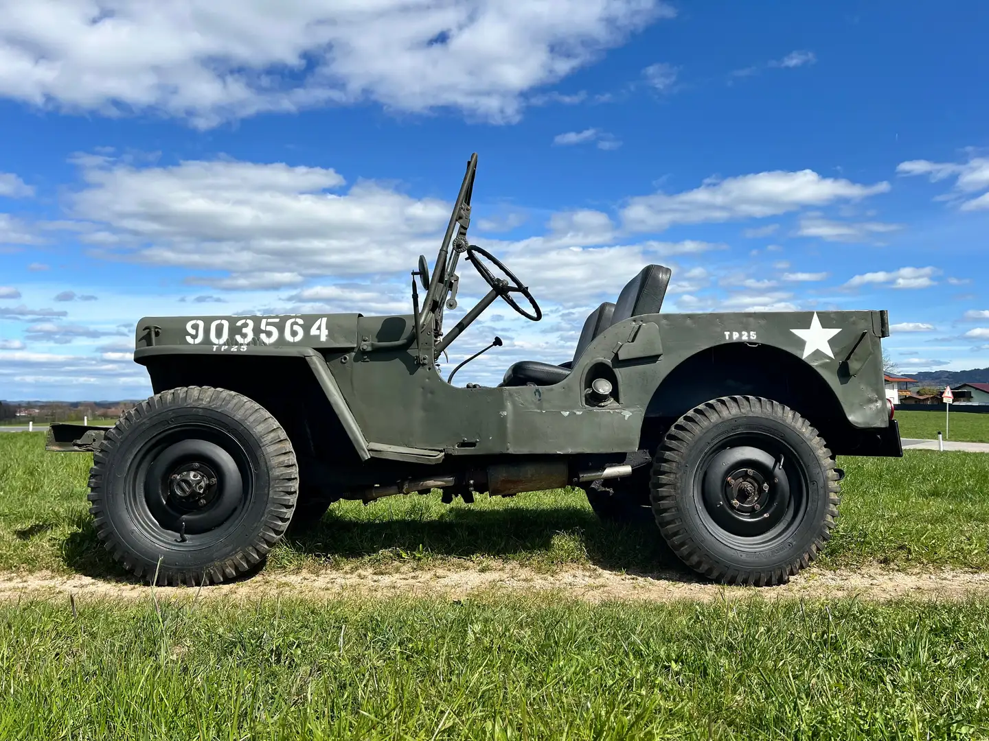 Jeep Willys Verde - 2