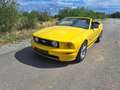 Ford Mustang Cabrio GT Aut. Gelb - thumbnail 5