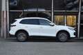 Volkswagen Tiguan 1.5 eTSI Life Edition Lane ACC Camera StuurVw - thumbnail 9