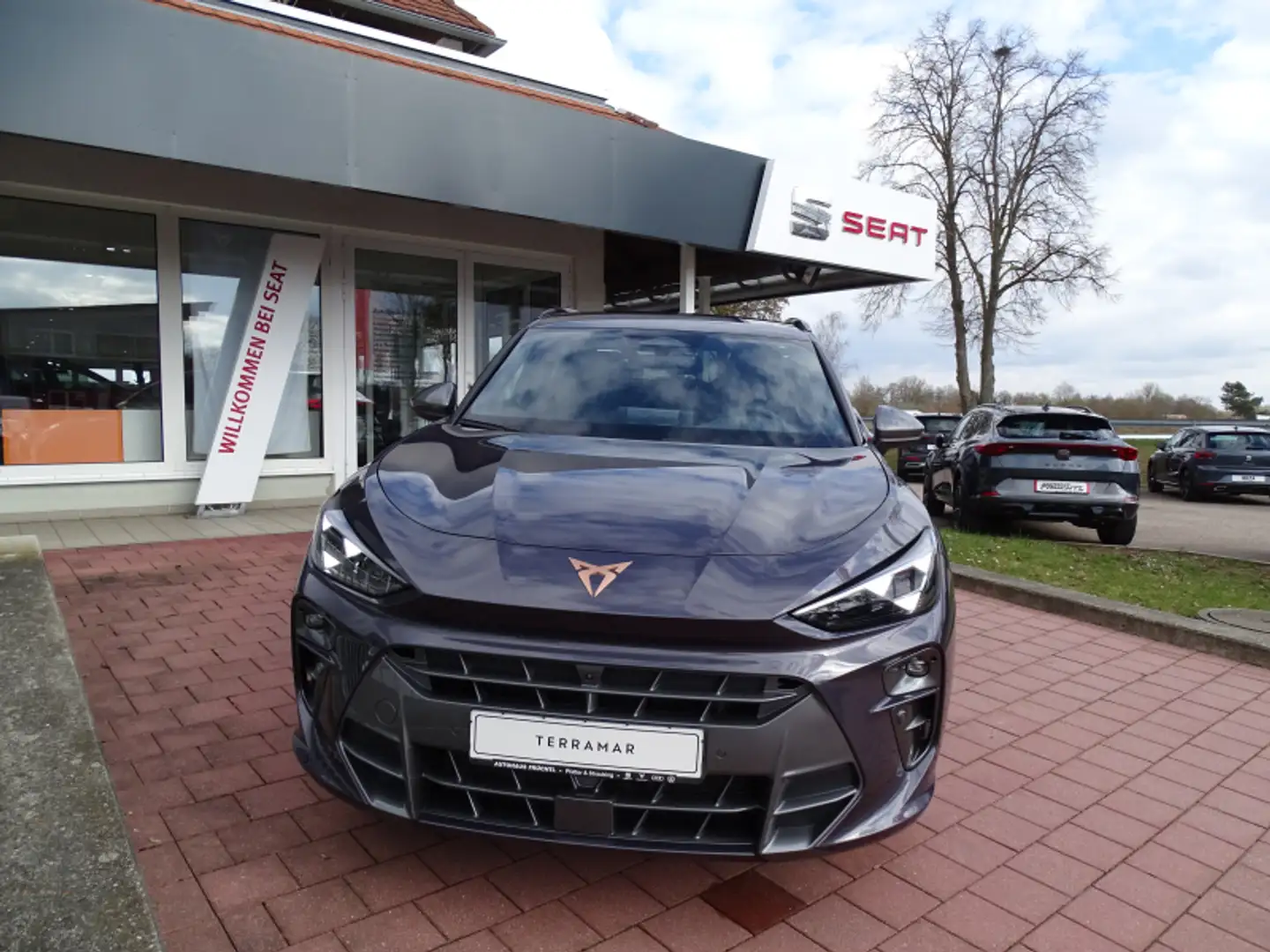 CUPRA Terramar Terramar 2.0 TSI 4Drive DSG 204PS AHK Navi Head-up Mauve - 2