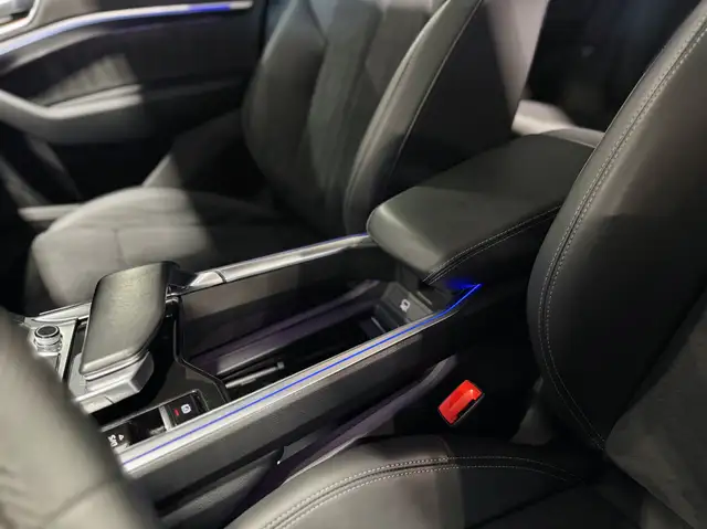Audi E-Tron view 16