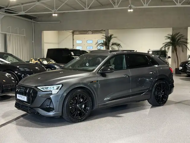 Audi E-Tron view 8
