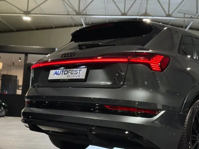 Audi E-Tron view 21