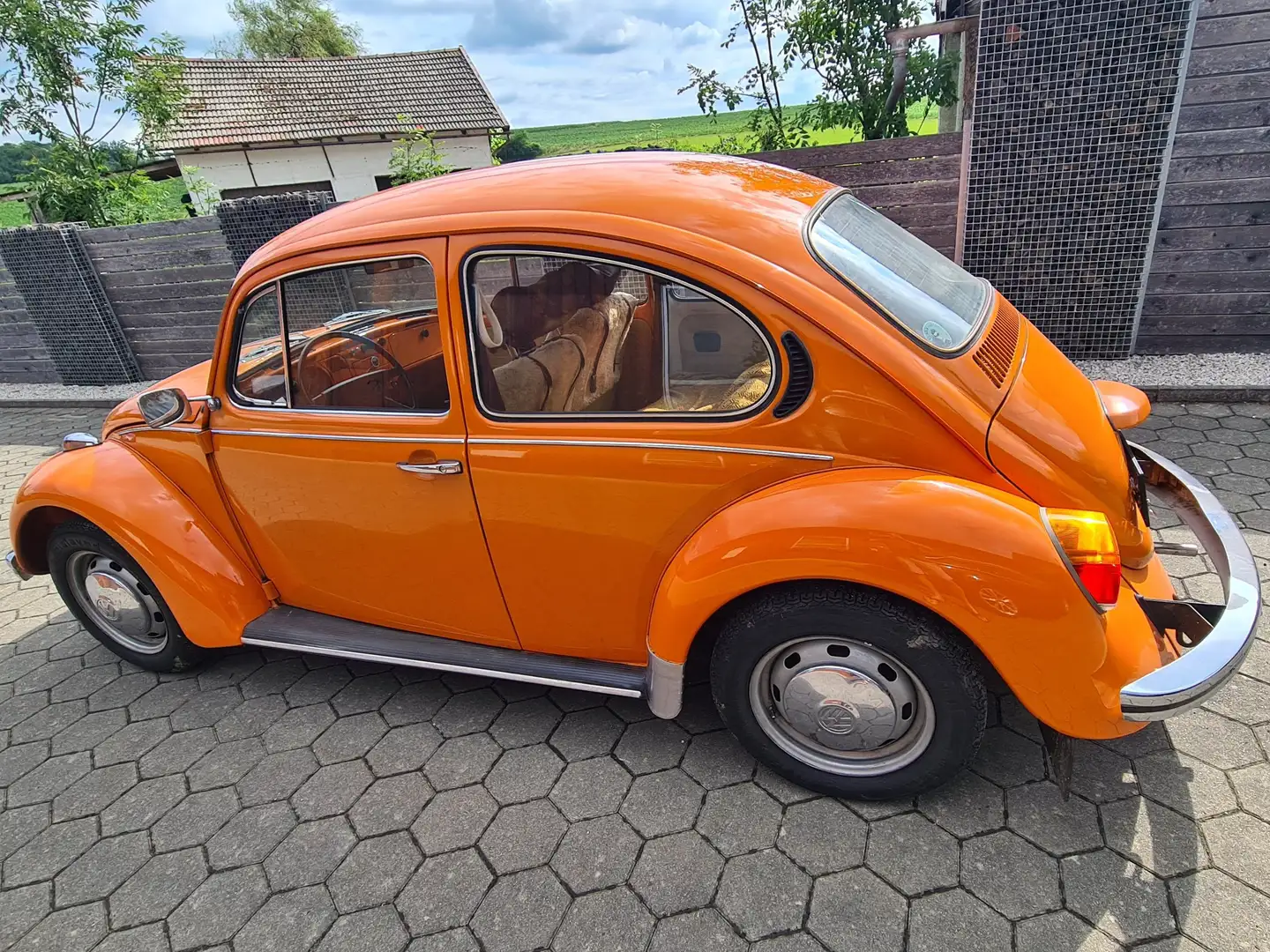 Volkswagen Käfer Orange - 2