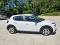 Citroen C3 BlueHDi 100 S&S Van Feel +Iva Blanc - thumbnail 3